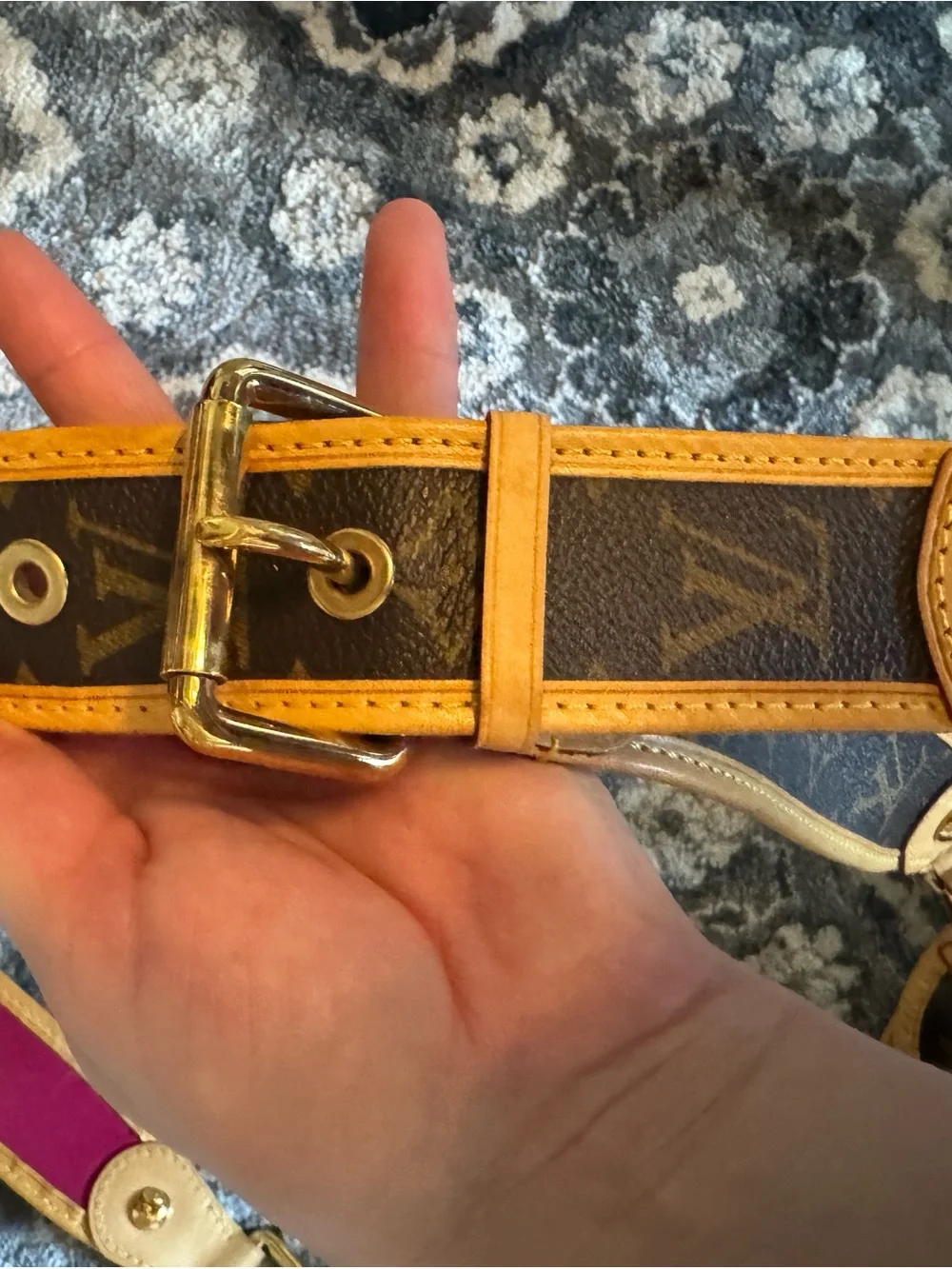 Louis Vuitton classic louis